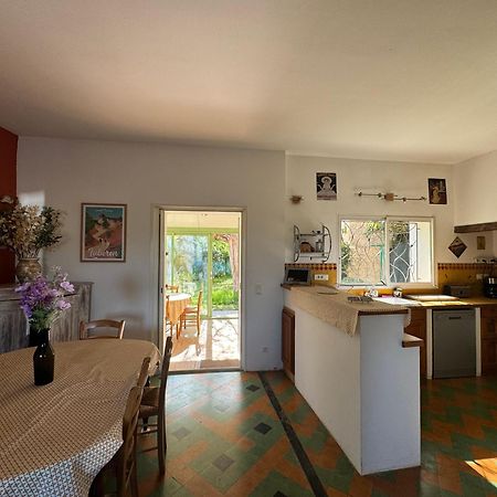 Willa La Boissetane, Maison Provencale Avec Piscine Et Jardin, Au Pied Du Luberon Saint-Martin-de-Castillon Zewnętrze zdjęcie